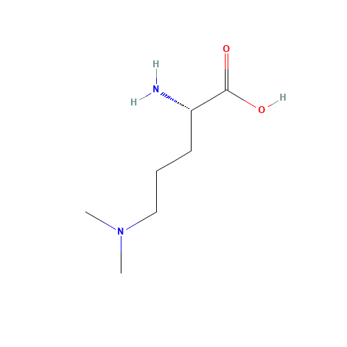 (2S)-2-amino-5-(dimethylamino)pentanoic acid (CAS: 121428-46-4) - Related Chemical Product