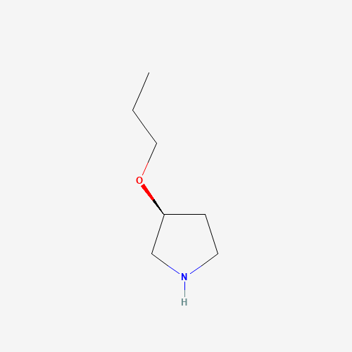 (3S)-3-propoxypyrrolidine (CAS: 880361-94-4) - Related Chemical Product