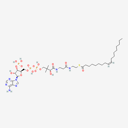 S-[2-[3-[[(2R)-4-[[[(2R,3S,4R,5R)-5-(6-aminopurin-9-yl)-4-hydroxy-3-phosphonooxyoxolan-2-yl]methoxy-hydroxyphosphoryl]oxy-hydroxyphosphoryl]oxy-2-hydroxy-3,3-dimethylbutanoyl]amino]propanoylamino]ethyl] (Z)-octadec-9-enethioate (CAS: 1716-06-9) - Related Chemical Product