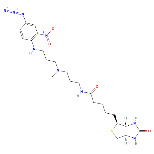 5-[(3aS,4S,6aR)-2-oxo-1,3,3a,4,6,6a-hexahydrothieno[3,4-d]imidazol-4-yl]-N-[3-[3-(4-azido-2-nitroanilino)propyl-methylamino]propyl]pentanamide (CAS: 96087-37-5) - Related Chemical Product