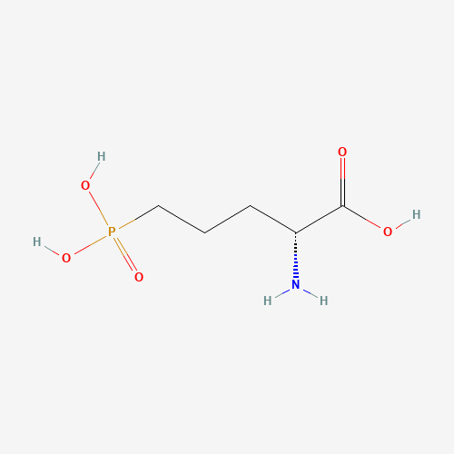 (2R)-2-amino-5-phosphonopentanoic acid (CAS: 79055-68-8) - Related Chemical Product