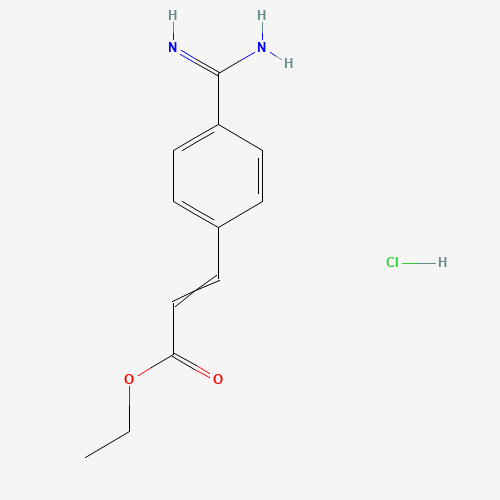 ethyl (E)-3-(4-carbamimidoylphenyl)prop-2-enoate;hydrochloride (CAS: 55197-53-0) - Related Chemical Product