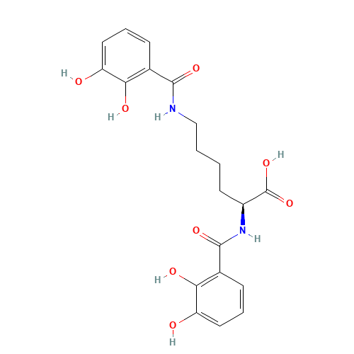 (2S)-2,6-bis[(2,3-dihydroxybenzoyl)amino]hexanoic acid (CAS: 23369-85-9) - Related Chemical Product