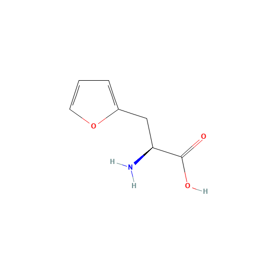 (2S)-2-amino-3-(furan-2-yl)propanoic acid (CAS: 121786-31-0) - Related Chemical Product