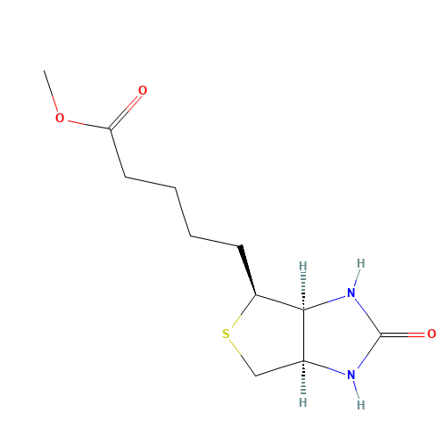 methyl 5-[(3aS,4S,6aR)-2-oxo-1,3,3a,4,6,6a-hexahydrothieno[3,4-d]imidazol-4-yl]pentanoate (CAS: 608-16-2) - Related Chemical Product