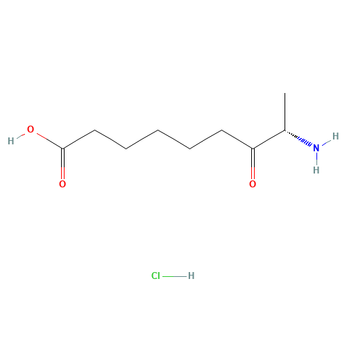 (8S)-8-amino-7-oxononanoic acid;hydrochloride (CAS: 177408-66-1) - Related Chemical Product