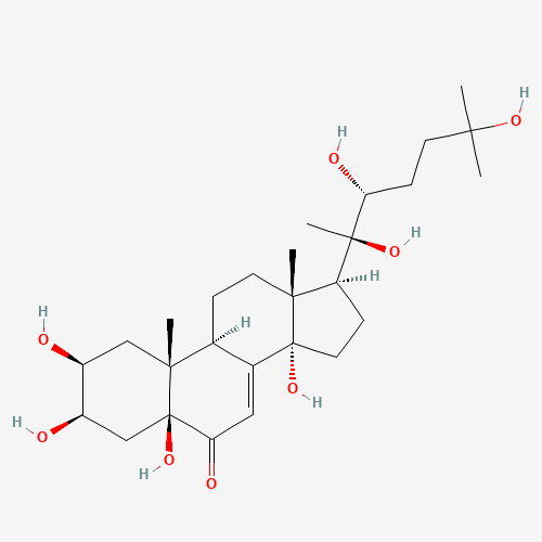 (2S,3R,5S,9R,10R,13R,14S,17S)-2,3,5,14-tetrahydroxy-10,13-dimethyl-17-[(2R,3R)-2,3,6-trihydroxy-6-methylheptan-2-yl]-1,2,3,4,9,11,12,15,16,17-decahydrocyclopenta[a]phenanthren-6-one (CAS: 18069-14-2) - Related Chemical Product
