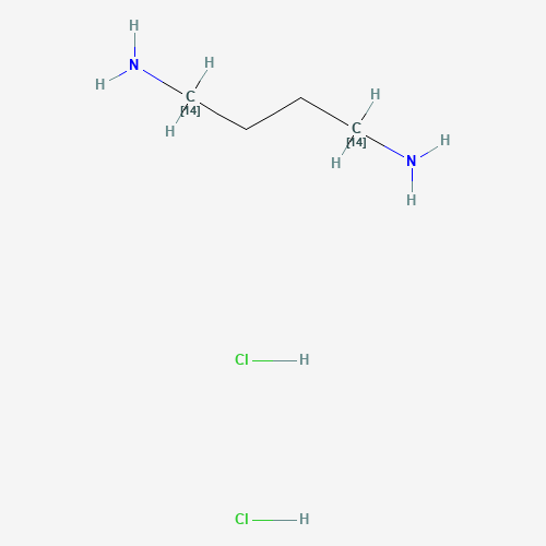 butane-1,4-diamine;dihydrochloride (CAS: 69102-07-4) - Related Chemical Product