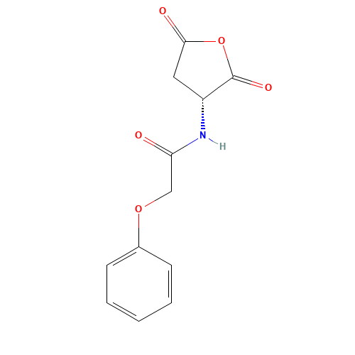N-[(3R)-2,5-dioxooxolan-3-yl]-2-phenoxyacetamide (CAS: 4515-22-4) - Related Chemical Product