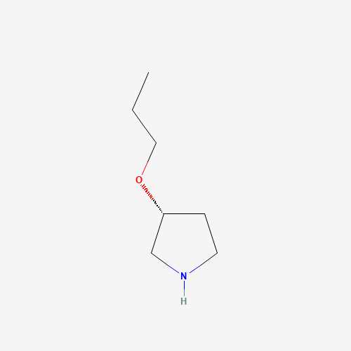 (3R)-3-propoxypyrrolidine (CAS: 849924-75-0) - Related Chemical Product