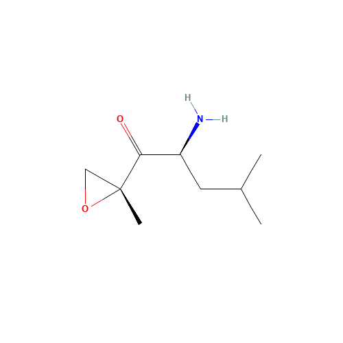 (2S)-2-amino-4-methyl-1-[(2R)-2-methyloxiran-2-yl]pentan-1-one (CAS: 247068-84-4) - Related Chemical Product