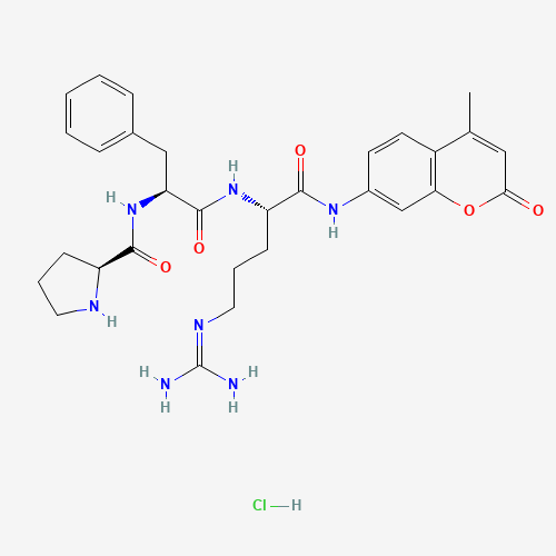 (2S)-N-[(2S)-1-[[(2S)-5-(diaminomethylideneamino)-1-[(4-methyl-2-oxochromen-7-yl)amino]-1-oxopentan-2-yl]amino]-1-oxo-3-phenylpropan-2-yl]pyrrolidine-2-carboxamide;hydrochloride (CAS: 115918-56-4) - Related Chemical Product