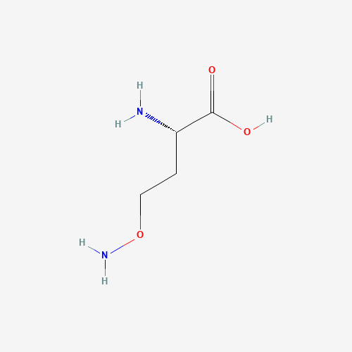 (2S)-2-amino-4-aminooxybutanoic acid (CAS: 496-93-5) - Related Chemical Product
