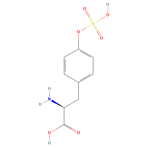 (2S)-2-amino-3-(4-sulfooxyphenyl)propanoic acid (CAS: 956-46-7) - Chemical Structure and Molecular Formula 