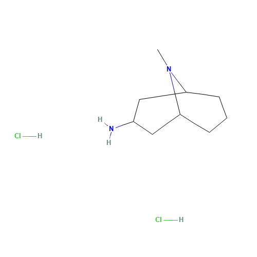 (1R,5S)-9-methyl-9-azabicyclo[3.3.1]nonan-3-amine;dihydrochloride (CAS: 906081-58-1) - Related Chemical Product