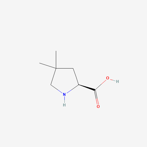(2S)-4,4-dimethylpyrrolidine-2-carboxylic acid (CAS: 891183-50-9) - Related Chemical Product
