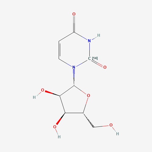 1-[(2R,3R,4S,5R)-3,4-dihydroxy-5-(hydroxymethyl)oxolan-2-yl]pyrimidine-2,4-dione (CAS: 54-23-9) - Related Chemical Product