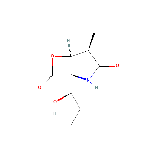 (1S,2R,5R)-5-[(1R)-1-hydroxy-2-methylpropyl]-2-methyl-7-oxa-4-azabicyclo[3.2.0]heptane-3,6-dione (CAS: 186833-31-8) - Related Chemical Product