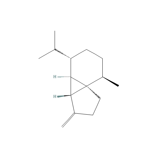beta-Cubebene (CAS: 13744-15-5) - Related Chemical Product