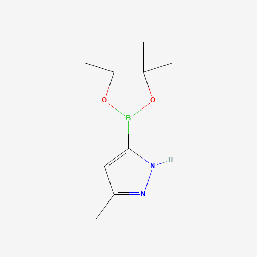 3-METHYL-5-(4,4,5,5-TETRAMETHYL-1,3,2-DIOXABOROLAN-2-YL)-1H-PYRAZOLE (CAS: 1888441-67-5) - Related Chemical Product