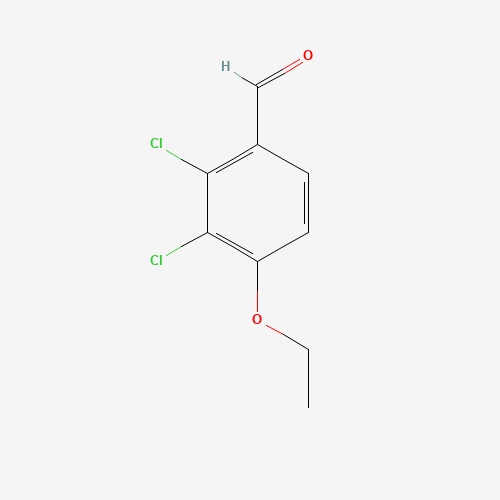 2,3-dichloro-4-ethoxybenzaldehyde (CAS: 41827-92-3) - Related Chemical Product
