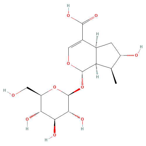 8-Epi-Loganic acid (CAS: 82509-41-9) - Related Chemical Product