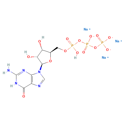 Guanosine 5'-triphosphate trisodium salt (CAS: 36051-31-7) - Related Chemical Product