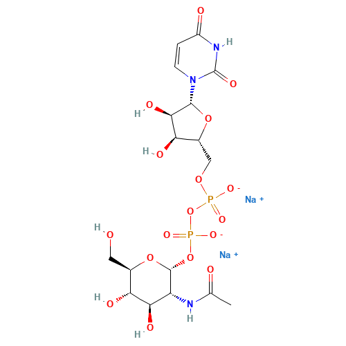 Uridine 5'-diphospho-N-acetylglucosamine sodium salt (CAS: 91183-98-1) - Related Chemical Product