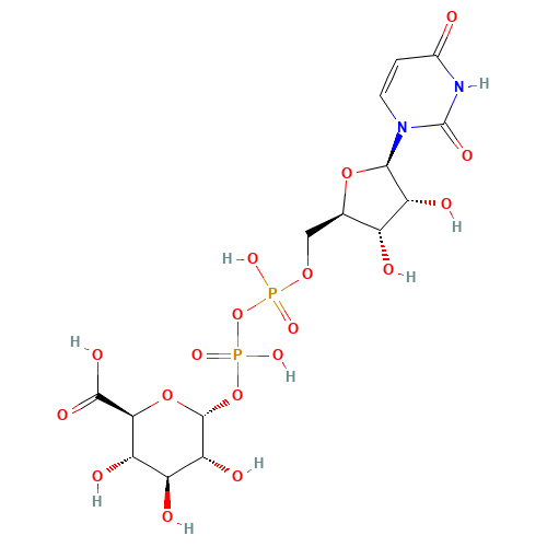 Uridine diphosphate glucuronic acid (CAS: 2616-64-0) - Related Chemical Product