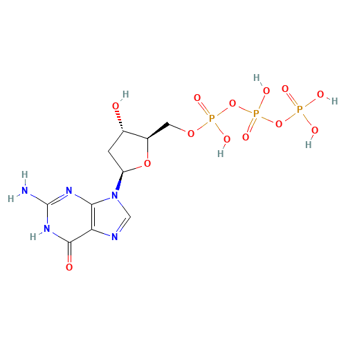 2'-Deoxyguanosine-5'-triphosphate (CAS: 2564-35-4) - Related Chemical Product