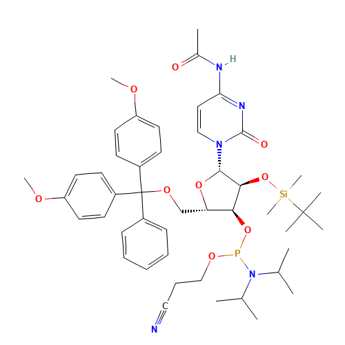 Ac-rC Phosphoramidite (CAS: 121058-88-6) - Related Chemical Product