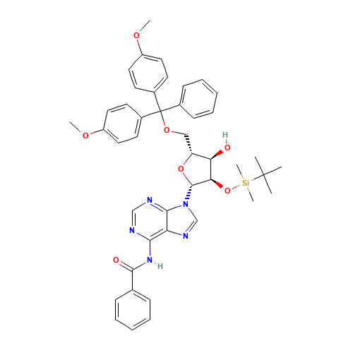5'-O-DMT-2'-O-TBDMS-N-Bz-Adenosine (CAS: 81265-93-2) - Related Chemical Product