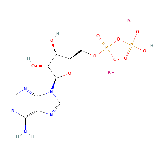 Adenosine 5'-diphosphate dipotassium salt (CAS: 114702-55-5) - Related Chemical Product