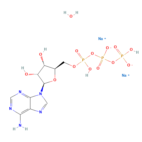 Adenosine 5'-triphosphate disodium salt hydrate (CAS: 34369-07-8) - Related Chemical Product