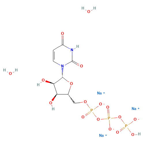 Trisodium uridine 5'-triphosphate dihydrate (CAS: 116295-90-0) - Related Chemical Product