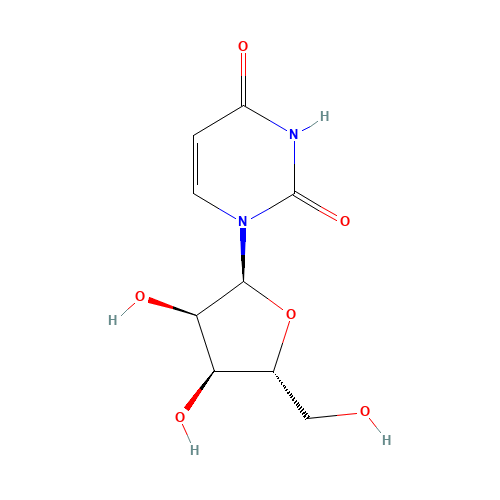 1-(a-D-ribofuranosyl)uracil (CAS: 3258-07-9) - Related Chemical Product