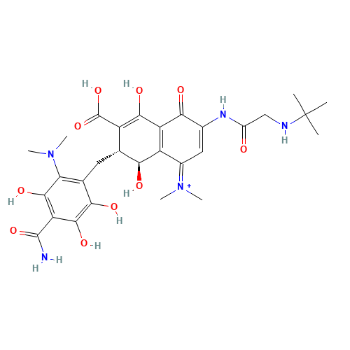 (3S,4R)-7-(2-(tert-Butylamino)acetamido)-3-(4-carbamoyl-2-(dimethylamino)-3,5,6-trihydroxybenzyl)-5-(dimethyliminio)-1,4,8-trihydroxy-3,4,5,8-tetrahydronaphthalene-2-carboxylate (CAS: 1138343-10-8) - Related Chemical Product