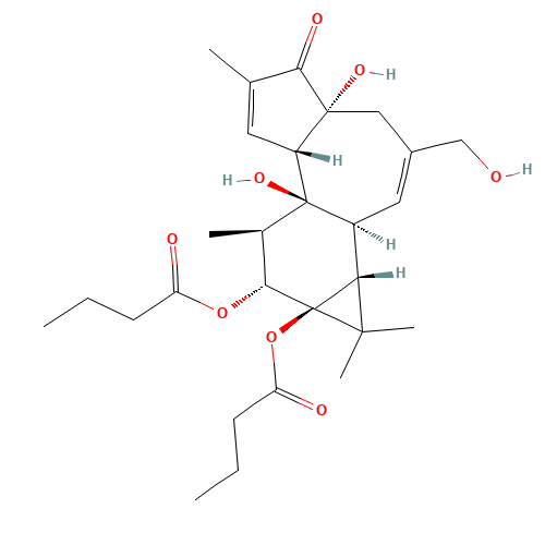 PHORBOL 12,13-DIBUTYRATE (CAS: 37558-16-0) - Related Chemical Product