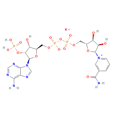 NADP MONOPOTASSIUM SALT (CAS: 68141-45-7) - Chemical Structure and Molecular Formula 